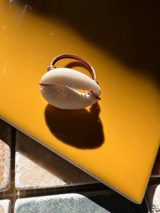 Cowrie Shell Copper